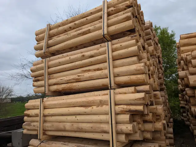 Cedar fence posts for sale . All sizes. Copetown