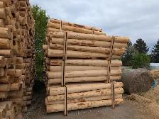 Cedar fence posts for sale . All sizes. Copetown - Photo 8
