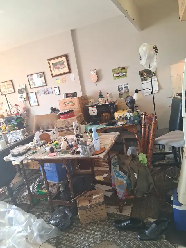 Cleaning and content removal services