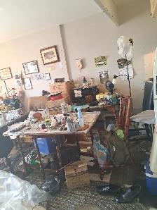 Cleaning and content removal services