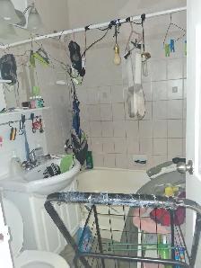 Cleaning and content removal services - Photo 4