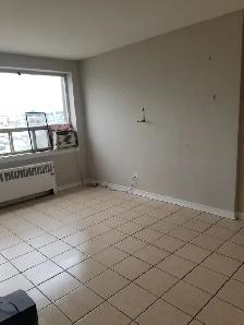 Cleaning and content removal services - Photo 7