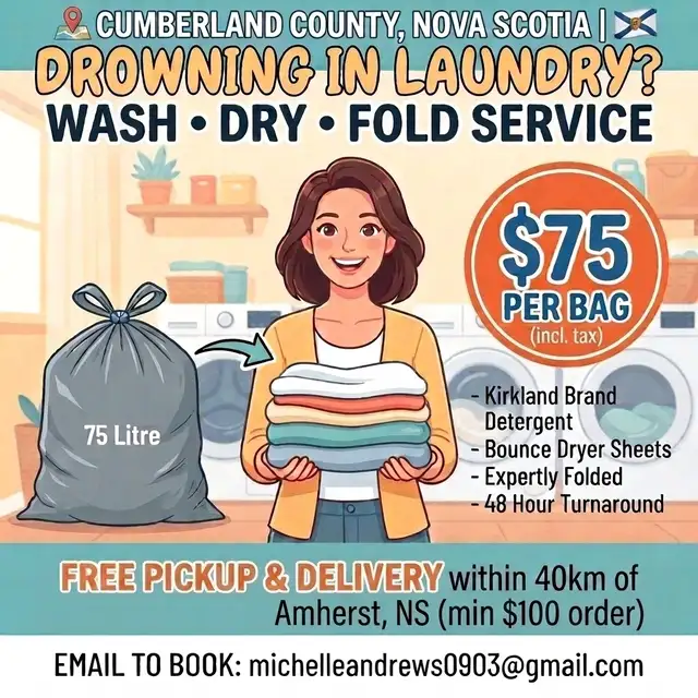 Drowning in Laundry? Wash Dry Fold Service!