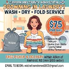 Drowning in Laundry? Wash Dry Fold Service!