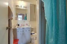 $600 Utilities Included - 1 Bdrm Available -Female Students Only - Photo 4
