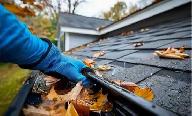 Windows and Gutters Pressure Washing - Photo 2