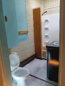 3 1/2 rue Cartier près de Sherbrook - Photo 5