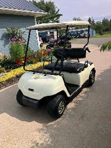 Yamaha Gas Golf Cart - Photo 2