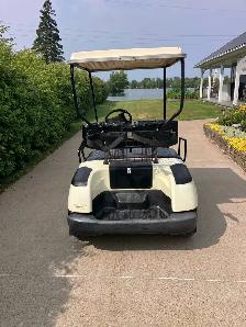 Yamaha Gas Golf Cart - Photo 6