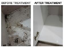 Professional Pest Control – Bed Bugs, Roaches, Mice, Ants & More - Photo 3