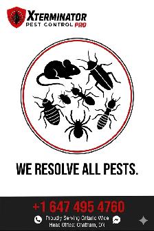 Professional Pest Control – Bed Bugs, Roaches, Mice, Ants & More - Photo 4