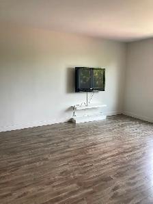 TV monitor Samsung 42' - Photo 4