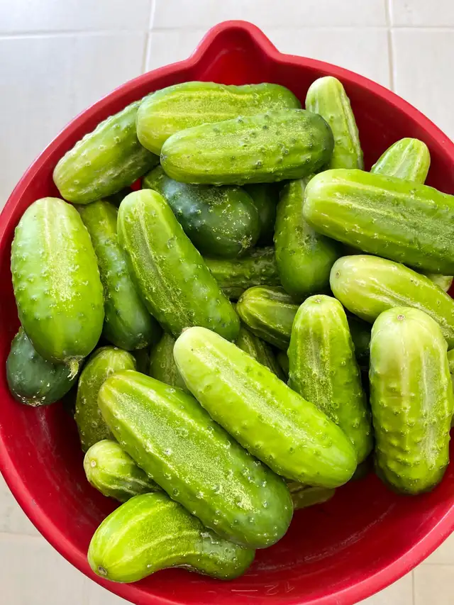 Cucumbers