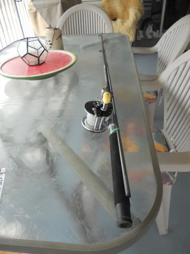10 FOOT SILSTAR MOOCHING ROD WITH PENN 60 REEL LEAD LINE