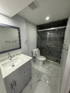 Newly Renovated 2 Bedroom Basement for Rent - Sept 1st 2026 - Photo 2