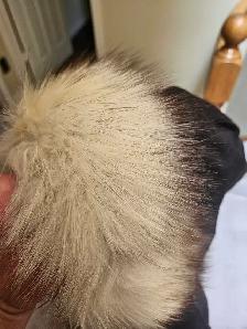 Moose Knuckle Men's Winter Jacket (L)