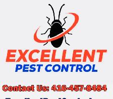 WASP NEST REMOVAL CALL- 416-457-8484- EXCELLENT PEST CONTROL - Photo 2