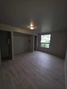 1 bedroom 1 bathroom apartment - Photo 5