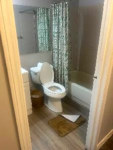 cozy basement room for rent