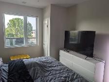 1 Bedroom   Den, 837 sqft, SE London, Heat & Water Included - Photo 3