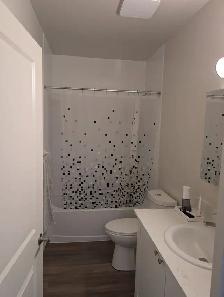 1 Bedroom   Den, 837 sqft, SE London, Heat & Water Included - Photo 12