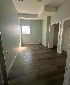 Modern, Spacious 2-Bedroom Apartment King and Richmond - Photo 7