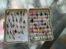 62 FLIES IN A DRAGON FLY FLY BOX