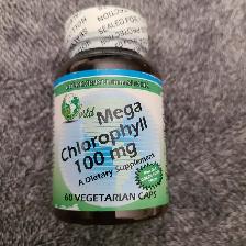 World Organic Mega Chlorophyll, 100 mg, Capsules,