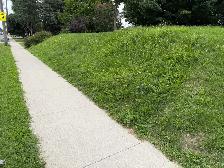 GRASS CUTTING NEEDED
