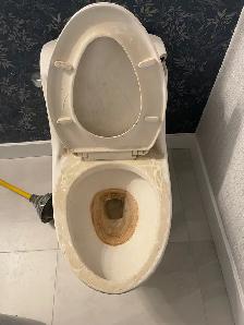 Cleaners Wanted – Surrey/Lower Mainland - Photo 8