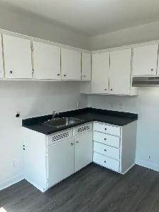 3-1/2 Apartment (Ville Emard) - Photo 8