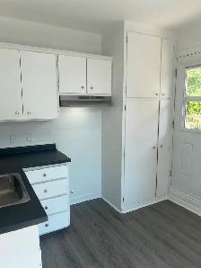3-1/2 Apartment (Ville Emard) - Photo 9