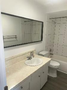 3-1/2 Apartment (Ville Emard) - Photo 11