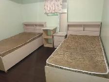 Brampton Basement Apartment - Photo 4