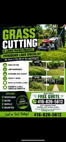 lawn maintenance