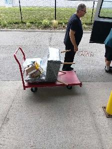 I do labour/gardening/moving and am available! 647647-571-9326 - Photo 5