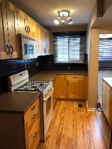 Upper House for Rent - Photo 17
