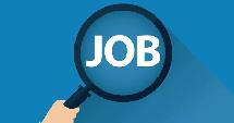 Remote Sales Job