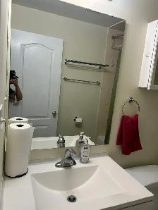 Two Bedroom Furnished Basement(Derry Mclaughline) - Photo 7