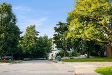 Student Room For Rent - Steps to Mohawk College - Photo 5