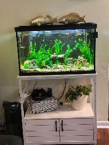 30 gallon fish tank WITH stand - Photo 3