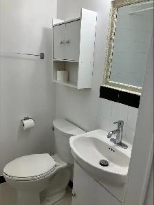 One Bedroom Apartment with Den - Photo 3