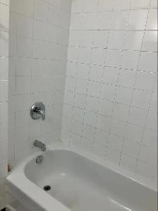 One Bedroom Apartment with Den - Photo 4
