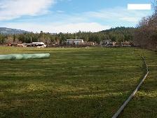 WRONG PLACE   --RIGHT TIME--OUR HOME/ACREAGE. - Photo 8
