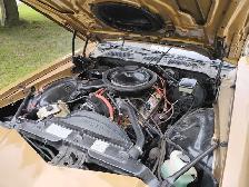 81camaro for sale