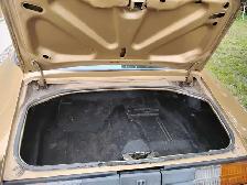 81camaro for sale - Photo 3
