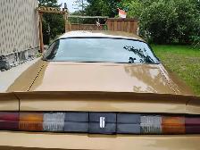 81camaro for sale - Photo 4