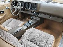 81camaro for sale - Photo 6