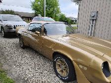 81camaro for sale - Photo 7