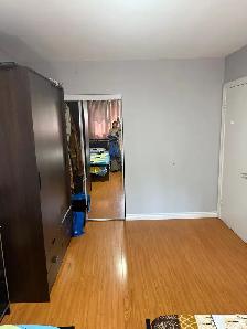 one bedroom available in Malton Upper floor Male